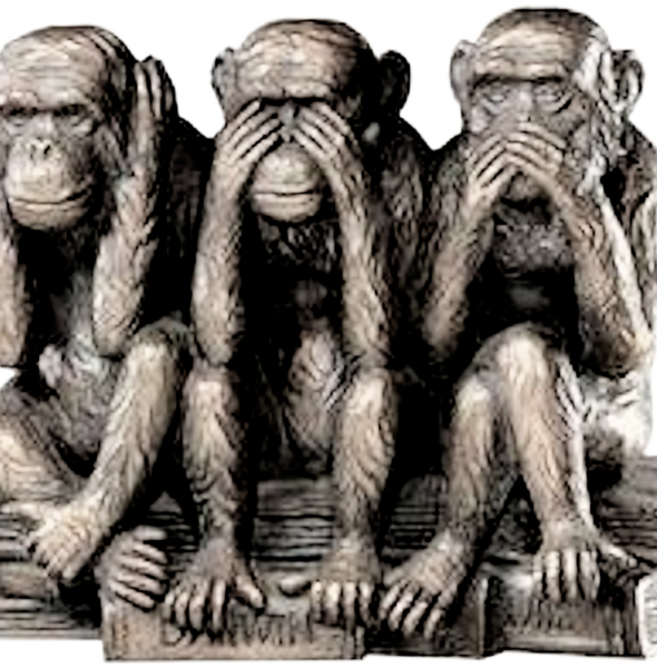 3petits singes 3petits singes