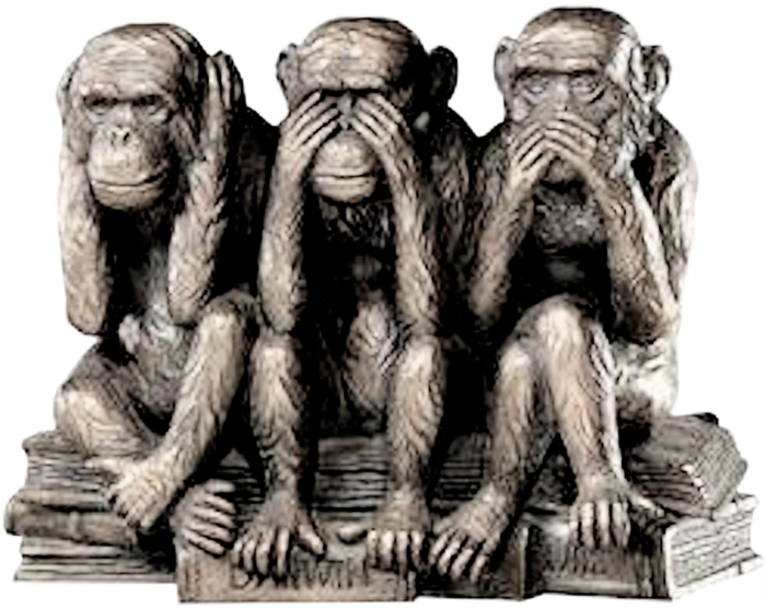 3petits singes